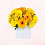 Box de 10 Gerberas y Claveles Amarillos