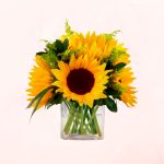 Florero en Cubo de 4 Girasoles