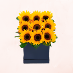 Box de 9 Girasoles