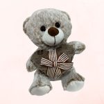 Oso de Peluche