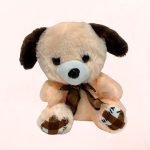 Oso de Peluche